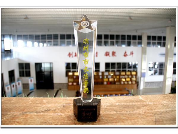 滨州市市长质量奖