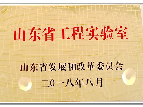 山东省工程实验室