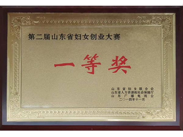 妇女创业大赛一等奖