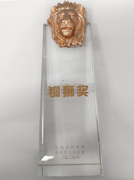 铜狮奖